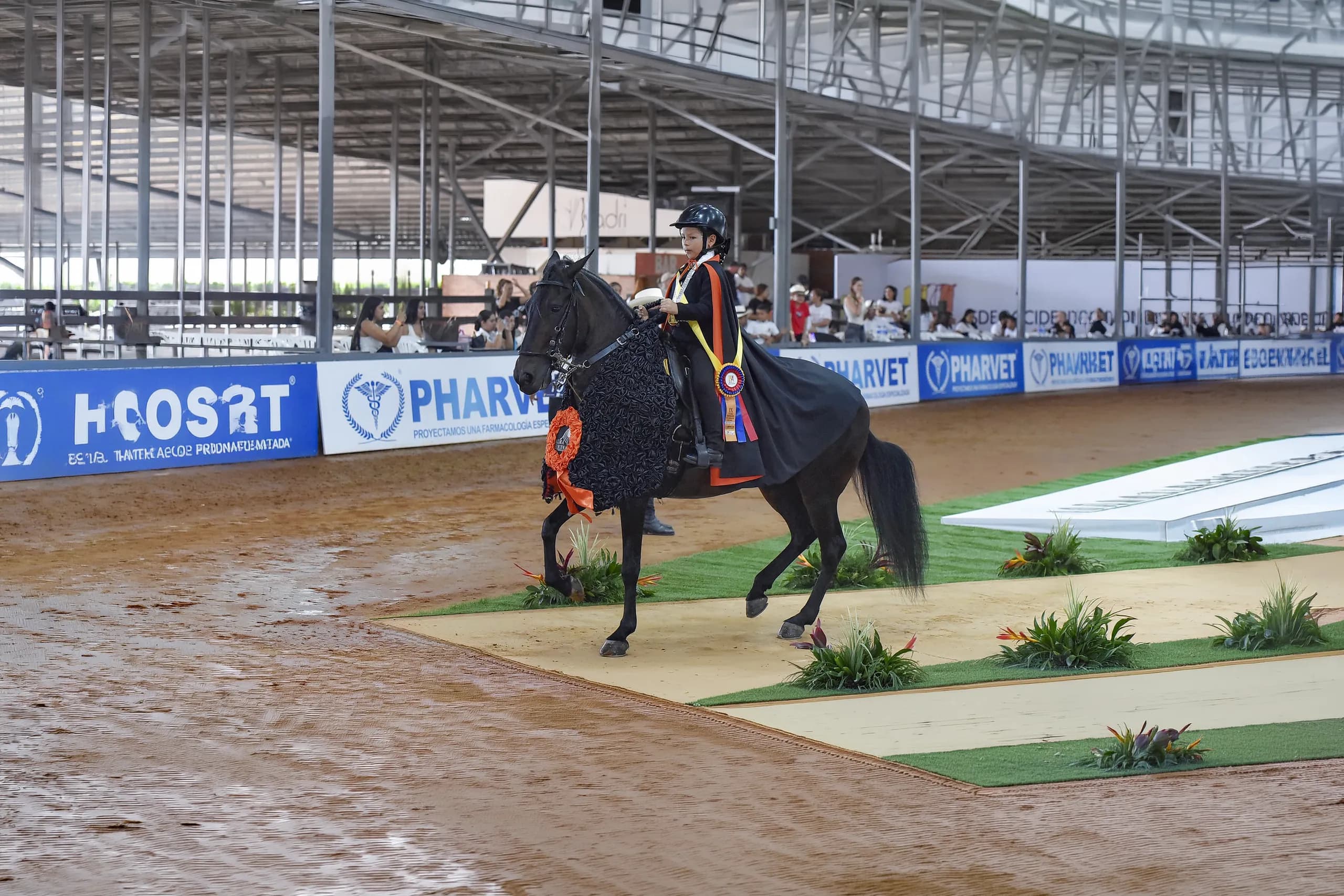 Julieta Suarez Erazo, amazona colombiana de Chalanería, sobre caballo criollo colombiano de paso