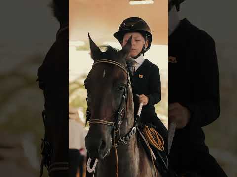 XV Mundial Confepaso de Equitación en Caballos de Paso 🇩🇴Selección Colombia 🇨🇴