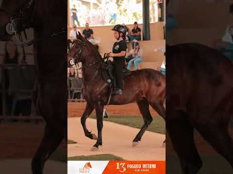 13 Fogueo Interno Alma Equina | 3er Puesto